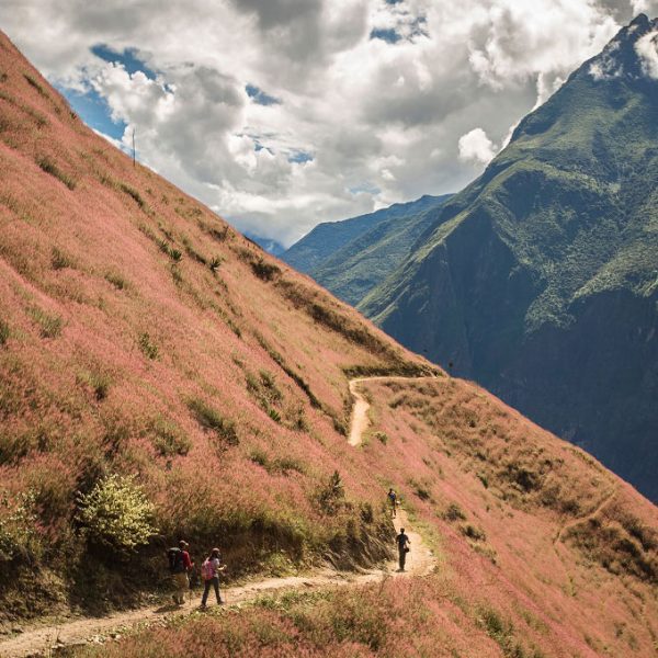 Caminata a las ruinas de Choquequirao y Machu Picchu